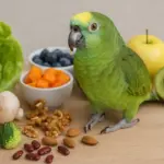 Alimenti umani sicuri per i pappagalli: la lista poco conosciuta che amplia la loro dieta