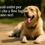 6 pericoli estivi per il cane che a fine luglio diventano seri