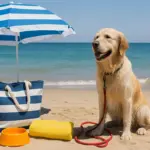 Spiagge per cani: come funzionano davvero e cosa portare